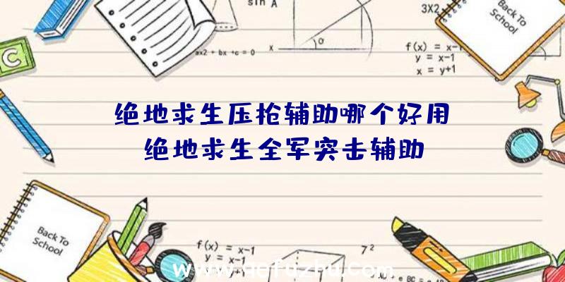 「绝地求生压枪辅助哪个好用」|绝地求生全军突击辅助